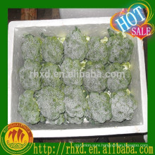 New Crop Vegetable Wholesale Fresh Broccoli
